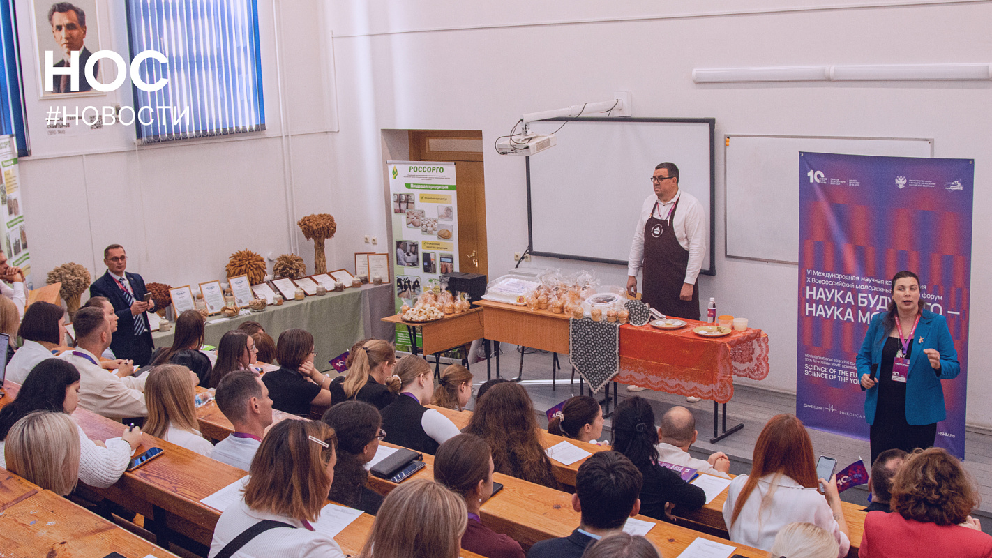 Описание изображения