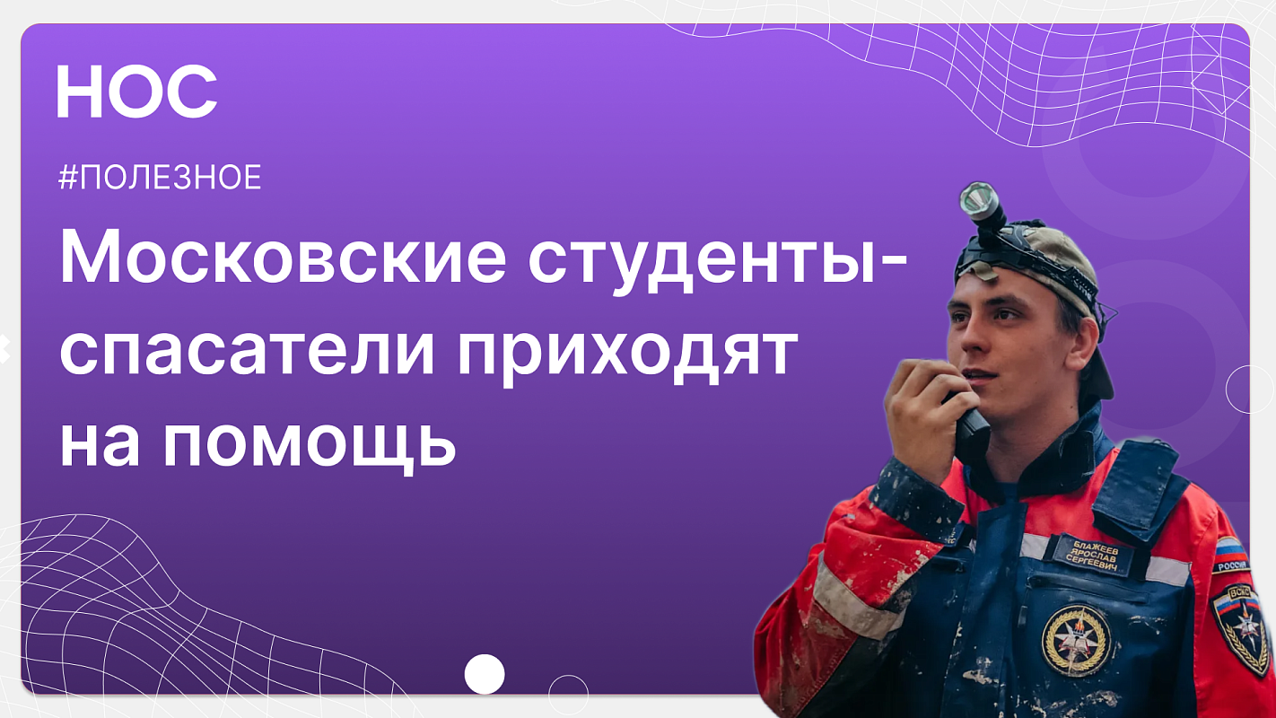 Описание изображения