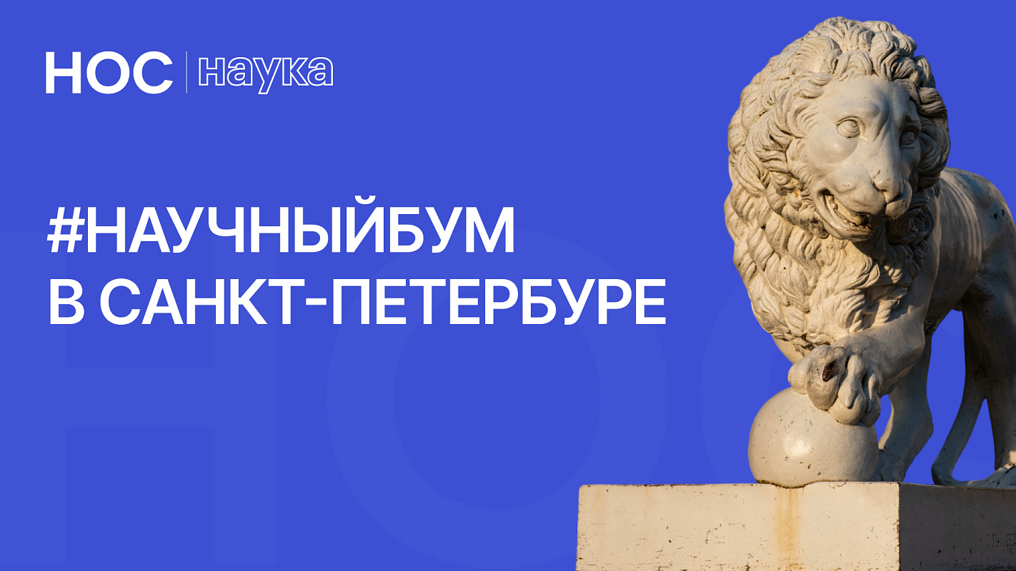 Описание изображения